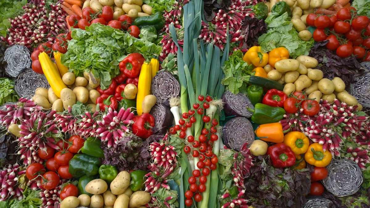 Approche nutritionnelle équilibrée et durable